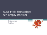 MLAB 1415: Hematology Keri Brophy-Martinez Erythrocytes: Part Two