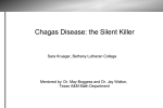 Chagas Disease: the Silent Killer
