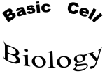 Basic Cell Biology