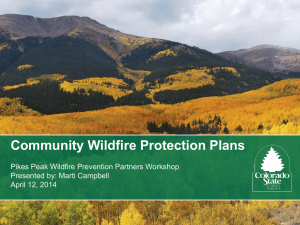 Community Wildfire Protection Plans