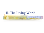 The Living World Notes