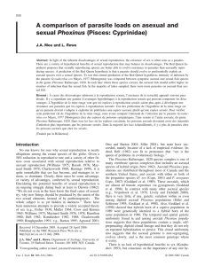 A comparison of parasite loads on asexual and sexual Phoxinus