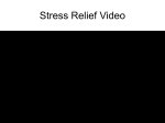 Stress Relief Video