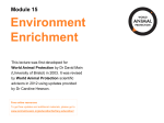 Module 15: Environmental Enrichment