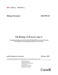 Biology Document BIO1992-02 The Biology of Brassica rapa L.