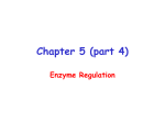 Chapter 5 (part 4) Enzyme Regulation