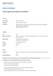 Anti-Dppa2 antibody ab46947 Product datasheet Overview Product name