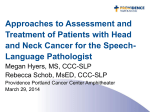 Approaches to Assessment and Treatment of Patients