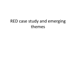 RED case study and emerging themes