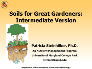 Soils for Great Gardeners: Intermediate Version Patricia Steinhilber, Ph.D. Ag Nutrient Management Program