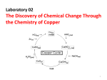 The Discovery of Chemical Change Through the Chemistry of Copper Laboratory 02 1