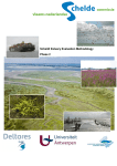 Scheldt Estuary Evaluation Methodology Phase 2