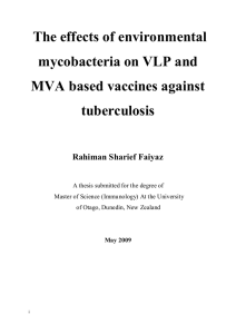 The effects of environmental mycobacteria on VLP and MVA based vaccines against tuberculosis