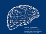 Functional Neuroanat.. - What is the Forum of Mobility Centres?