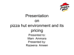 pizza hut1 (BZUPAGES.COM)