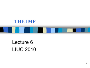 THE IMF Lecture 6 LIUC 2010 1
