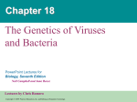 The Genetics of Viruses and Bacteria Chapter 18 PowerPoint Lectures for