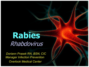 Rabies Presentation