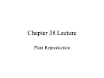 Chapter 38 Lecture Plant Reproduction