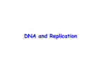 pp02-DNA and Replication