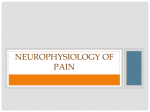 NEUROPHYSIOLOGY OF PAIN