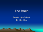 The Brain - Poudre School District