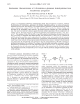 N -glutamate Iminohydrolase from Pseudomonas aeruginosa L