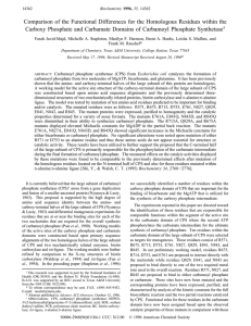 Comparison of the Functional Differences for the Homologous Residues within... Carboxy Phosphate and Carbamate Domains of Carbamoyl Phosphate Synthetase