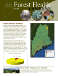 Forest Health highlights 2012 MAINE