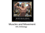 muscles-and-movement