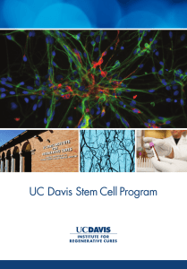 UC Davis Stem Cell Program