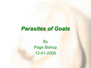 Parasites of Goats By Page Bishop 12-01-2005