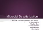 Microbial Desulfurization