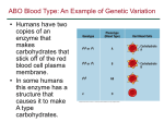 ABO Blood Type: An Example of Genetic Variation
