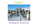 Chapter 7 Powerpoint