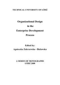 Organizational Design in the Enterprise Development Process