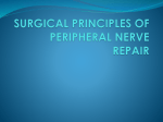Surgical principles of peripheral nerve repair