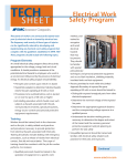 Electrical Work Safety Program