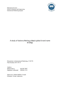 A study of factors affecting a firm`s global brand name strategy