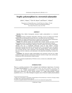 Trophic polymorphism in a terrestrial salamander John C. Maerz,