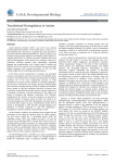 Translational Dysregulation in Autism