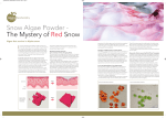 PDF Snow Algae Powder - The Secret of Red