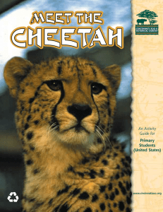 CHEETAH MEET THE An Activity Guide for