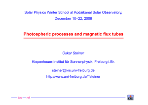 Photospheric processes and magnetic flux tubes