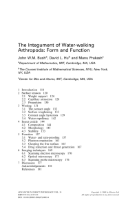 The Integument of Water-walking Arthropods: Form and Function John W.M. Bush