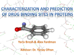 Characterization and prediction of drug binding sites in proteins