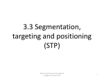 3.3 Segmentation, targeting and positioning (STP)