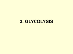 3. GLYCOLYSIS