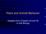 Plant and Animal Behavior