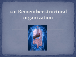 1.01 Remember structural organization